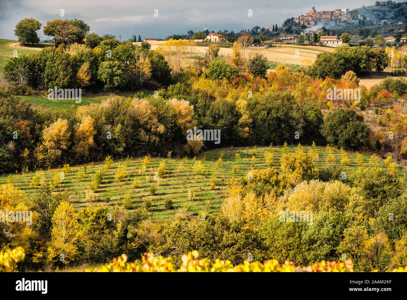 Umbrien, das grüne Herz Italiens. Eine Ecke der umbrischen Landschaft in den schönen Herbstfarben, mit Gelb, Grün und Braun Stockfoto
