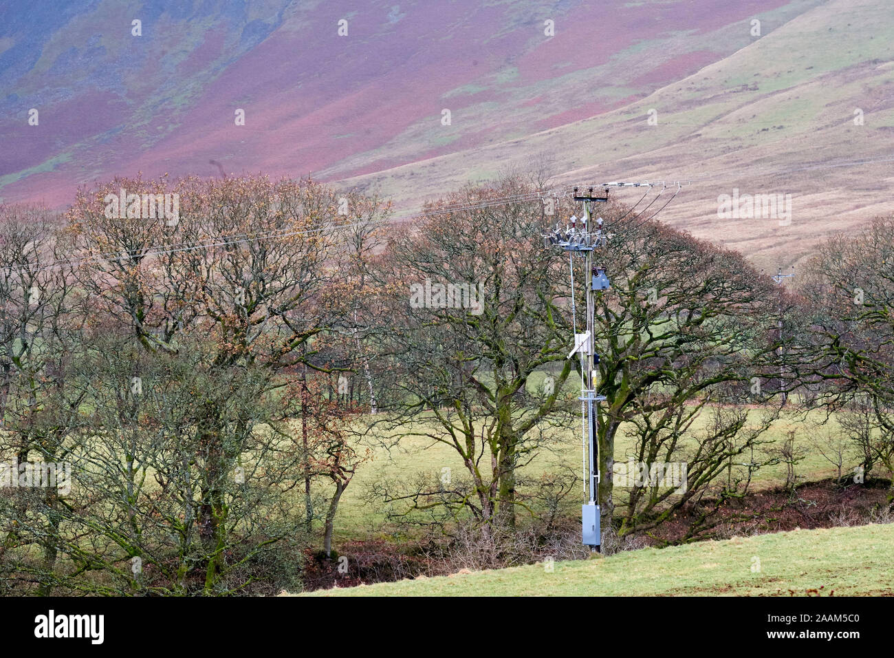 Ländliche Bild mit Power Kabel hingen aus der Pole vor Bäume mit den Hügeln hinter Stockfoto