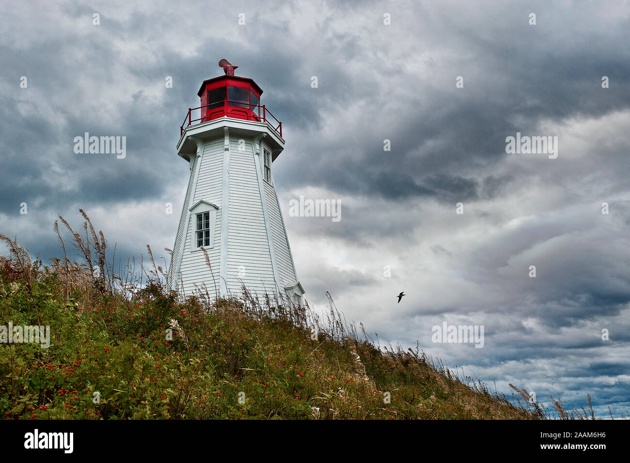 Mulholland Leuchtturm, New Brunswick, Campobello Island, Kanada Stockfoto