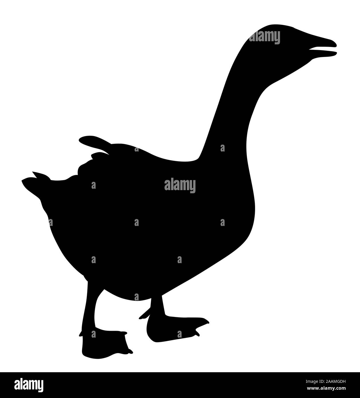 Gans gaggling und Walking Stock Vektor