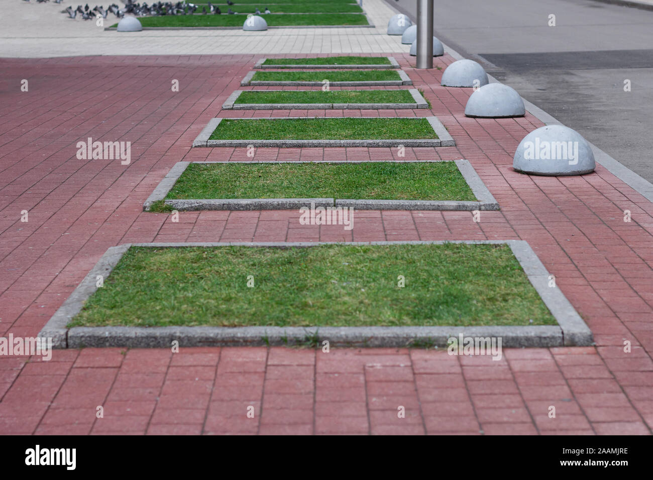 Urban Garden Betten. Die zunehmende Anbau blumen natur Hinterhof in der Stadt. Stockfoto