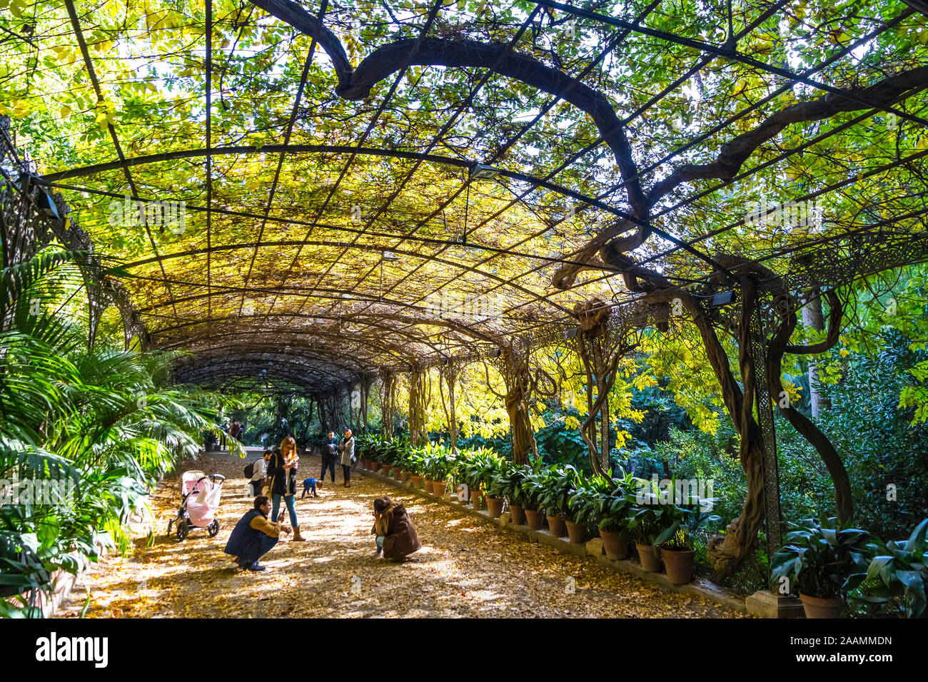 Malaga, Spanien - 10. Dezember 2017: Botanischer Garten (Jardin Botanico La Concepcion) in Malaga. Einer der wenigen Gärten mit subtropischen Klima Pflanzen Stockfoto