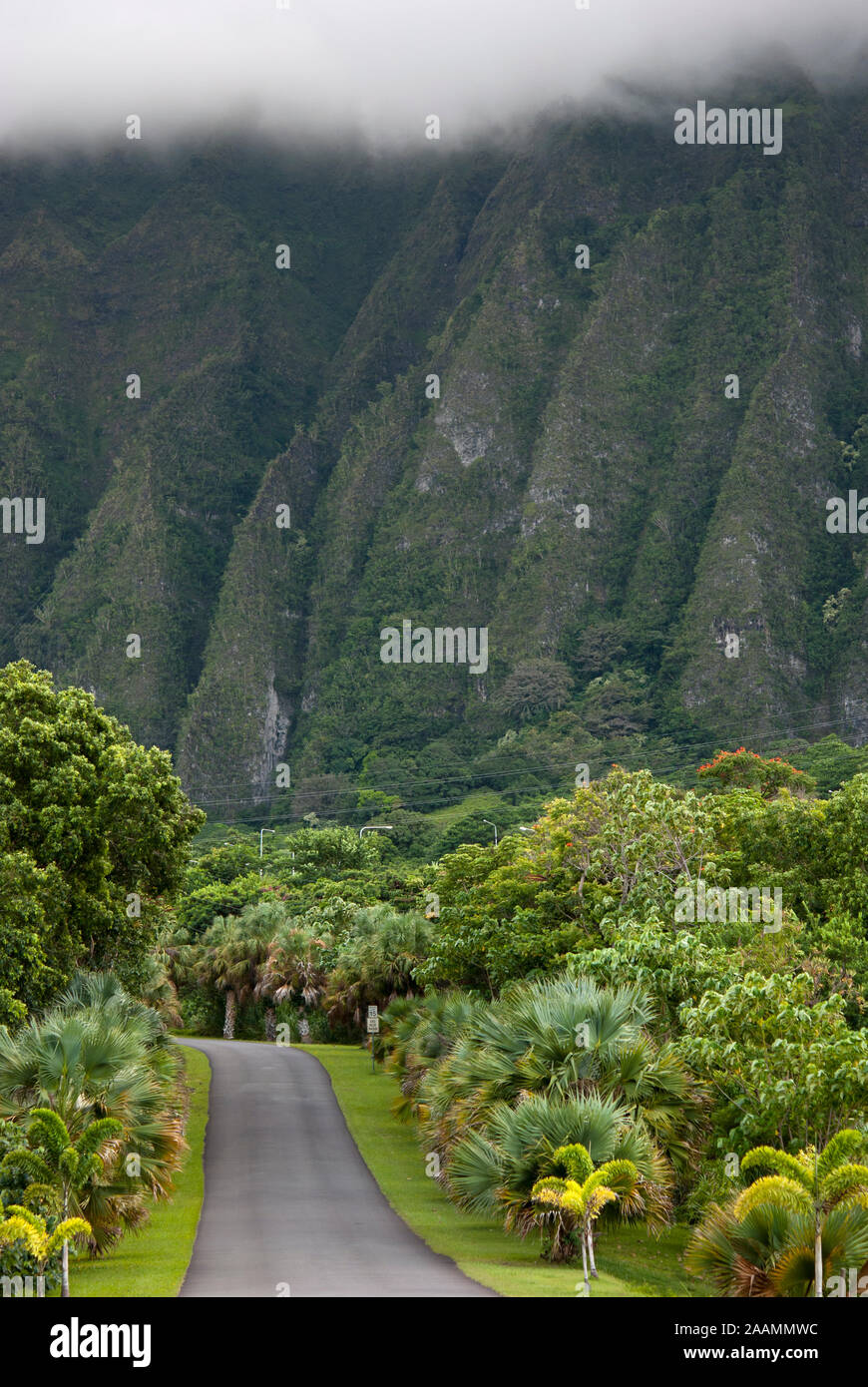 Ho'omaluhia Botanical Grdens auf der Insel Oahu, Hawaii Stockfoto