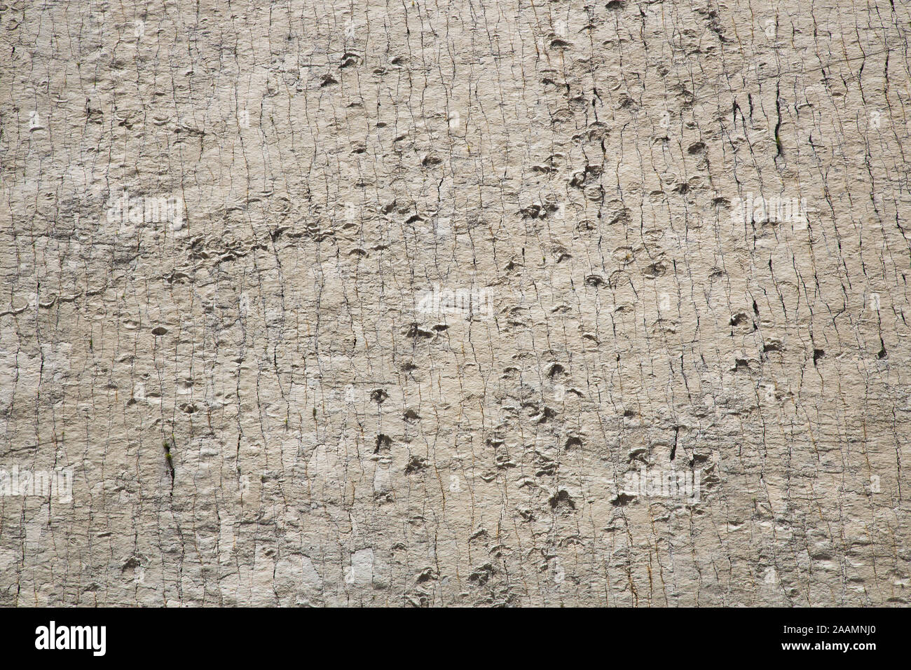 SUCRE, Bolivien - 16. Oktober 2019: Cal Orcko paläontologischen Website in Sucre. Steile Wand mit Tausenden o Dinosaurier Fuß wird gedruckt. Stockfoto