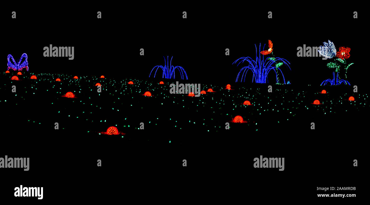 Pumpkin Patch orange leuchtet, blaues Licht Brunnen, riesigen Kunst Blumen im Licht. Meadowlark Gärten, Winterwanderung des Lichts. Download scharf. Schwarzen Himmel. Stockfoto