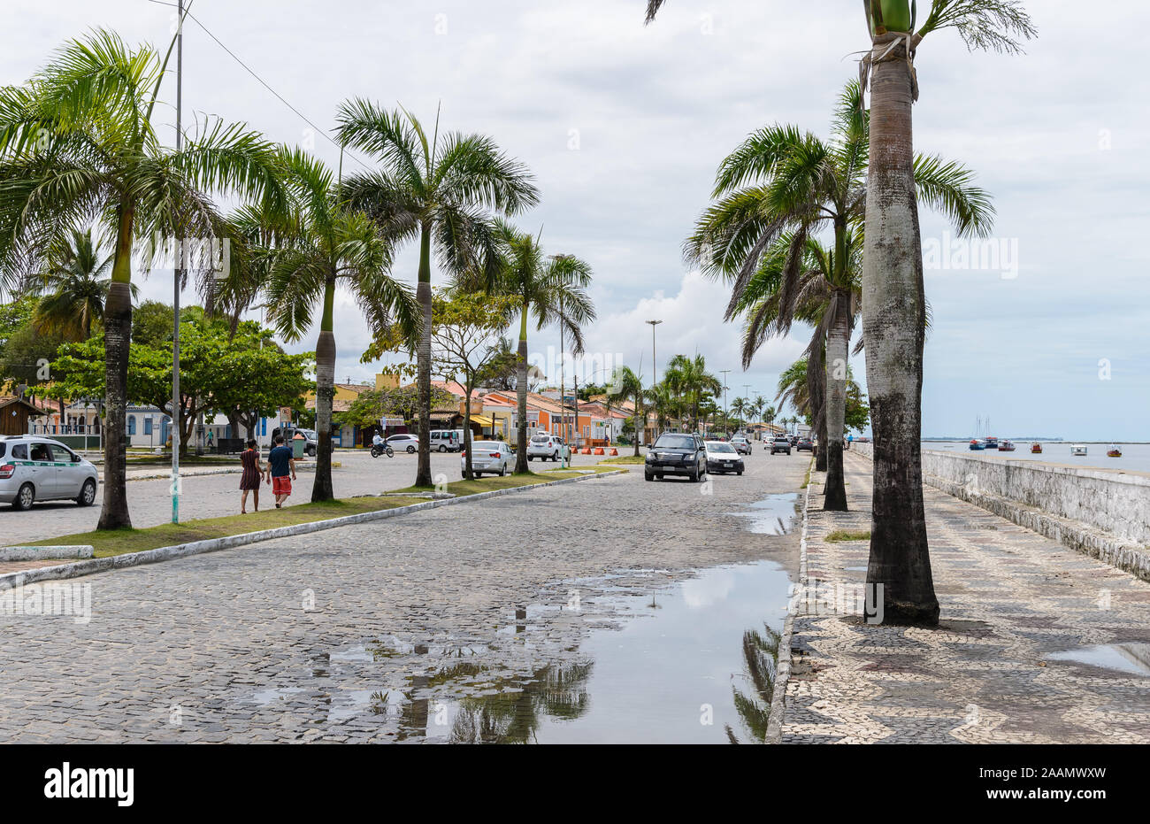 Palmen säumen die Straße, der Hafenstadt Porto Seguro, Bahia, Brasilien, Südamerika. Stockfoto