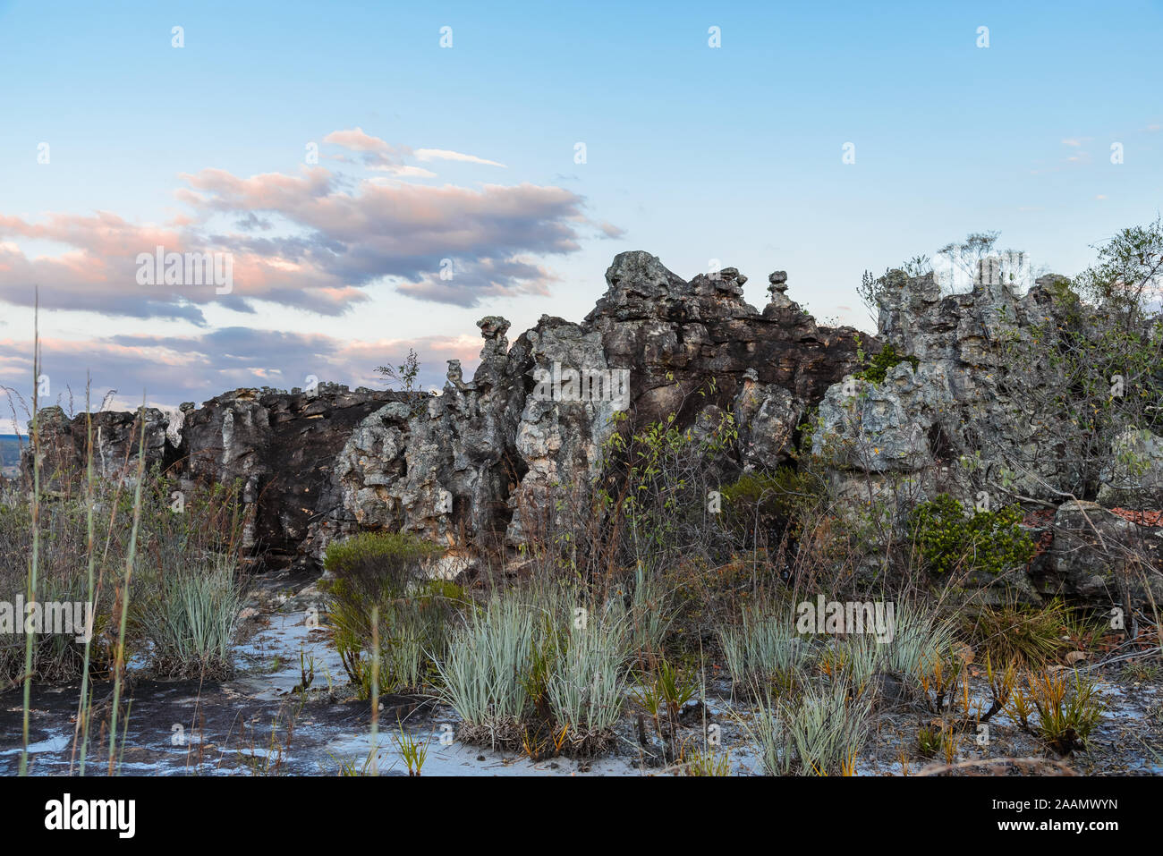 Verwitterte Sandstein bildet die Spitze der Chapada Plateau. Minas Gerais, Brasilien, Südamerika. Stockfoto