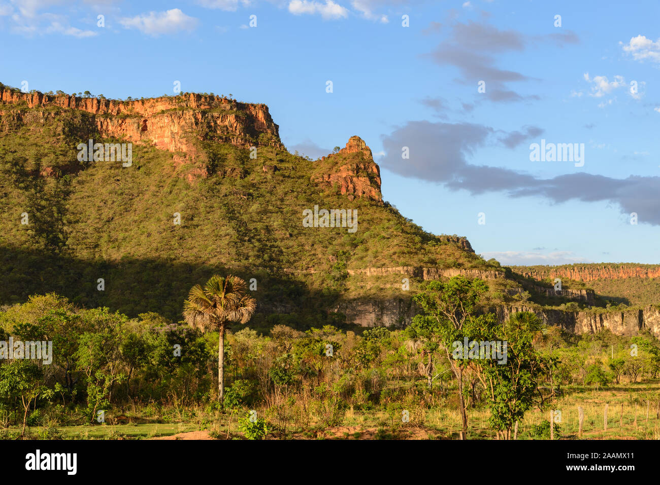 Chapada Landschaft, Hochebenen gebildet mit horizontalen Betten aus Sandstein. Bahia, Brasilien, Südamerika. Stockfoto