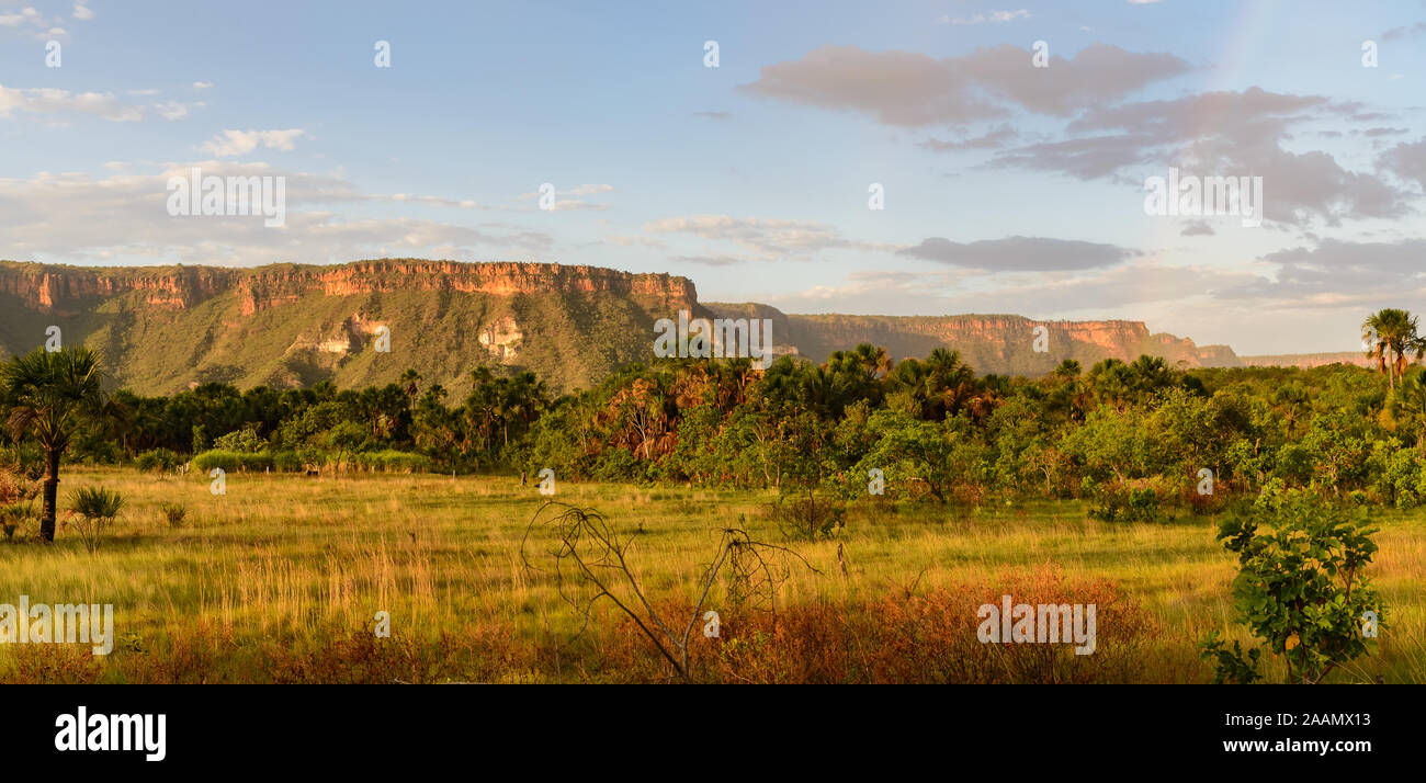 Chapada Landschaft, Hochebenen gebildet mit horizontalen Betten aus Sandstein. Bahia, Brasilien, Südamerika. Stockfoto