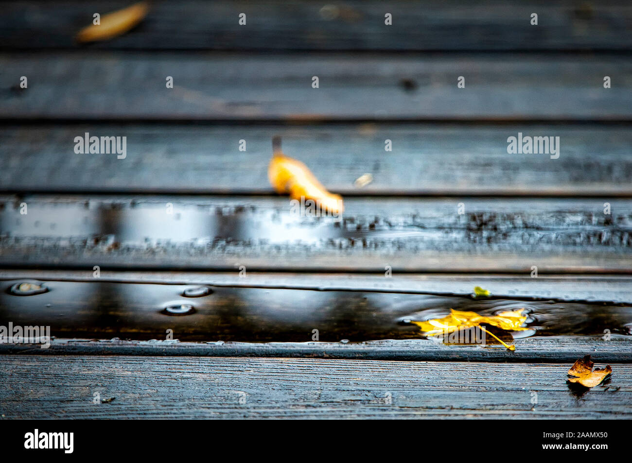 Nasse Oberfläche Stockfoto