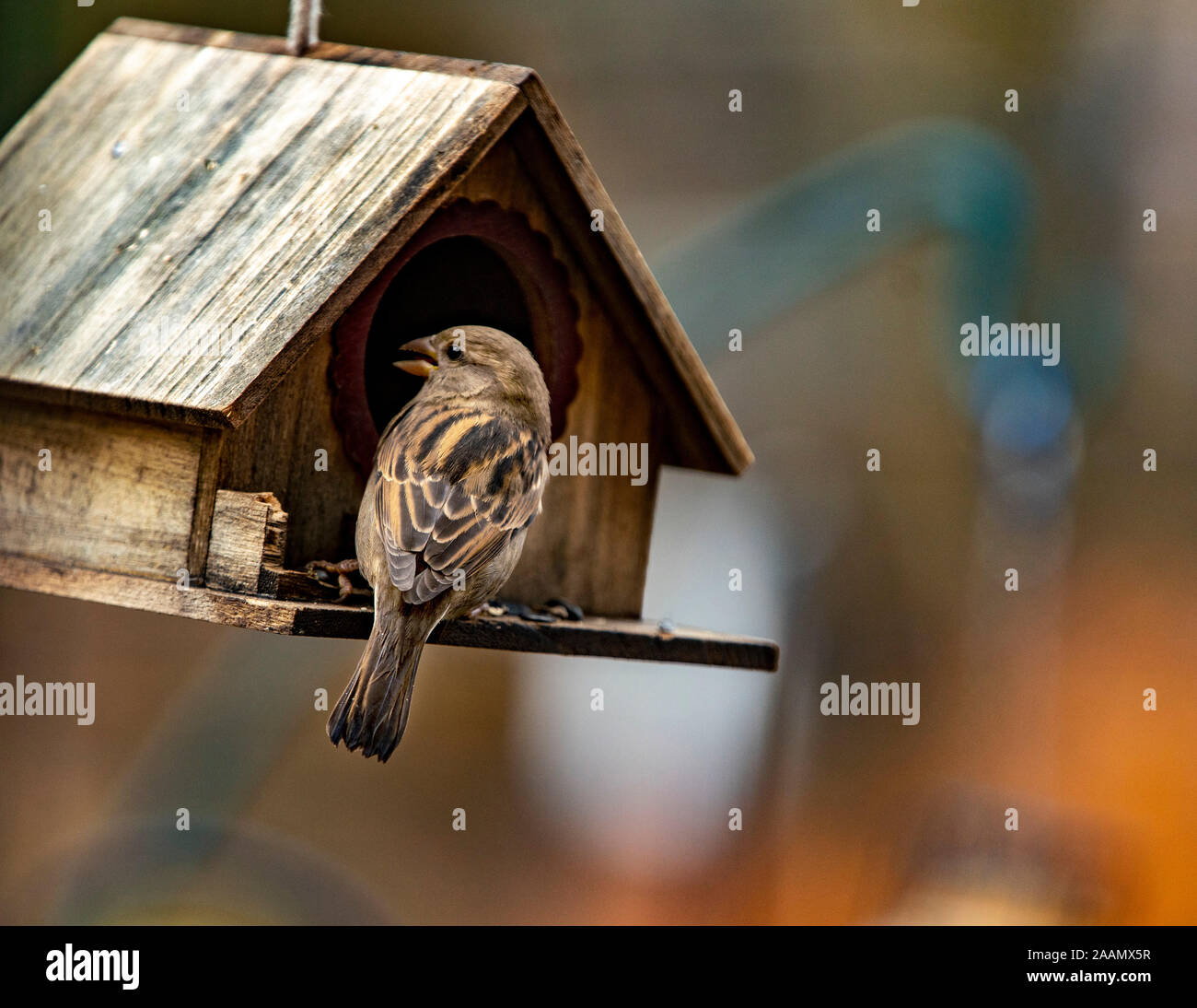 Swinging House Stockfoto