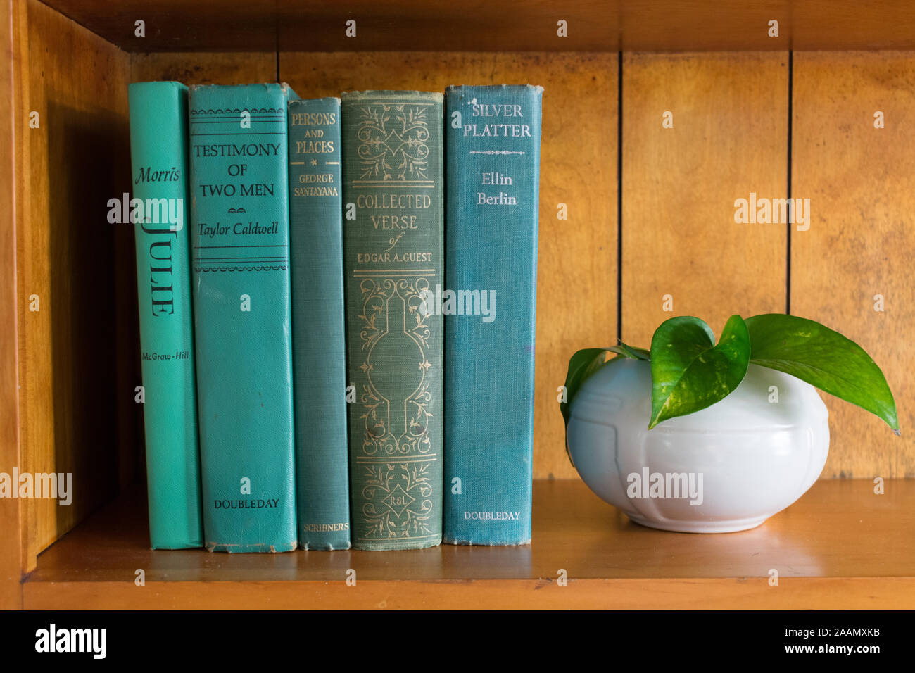 Vintage Blau und Grün Bücher auf vintage Bücherregal mit des Midcentury weissen Pflanzer und pothos Anlage Stockfoto