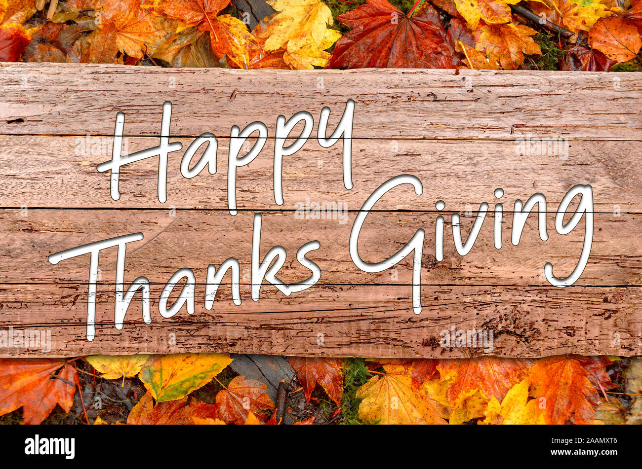 Happy Thanksgiving Holzschild mit Herbstlaub auf Waldboden Stockfoto