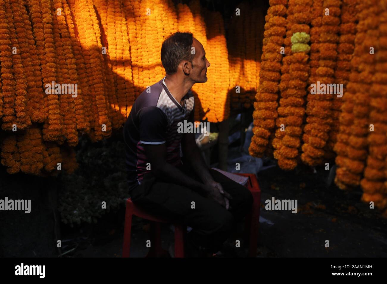 Dhaka, Bangladesch. 23 Nov, 2019. Ein Anbieter wartet auf Kunden in einem Großhandel Blumenmarkt in Dhaka. Heute ist die Nachfrage nach Blumen ist gesunken, da viele Unternehmen künstliche Blume herstellen. Credit: MD Mehedi Hasan/ZUMA Draht/Alamy leben Nachrichten Stockfoto