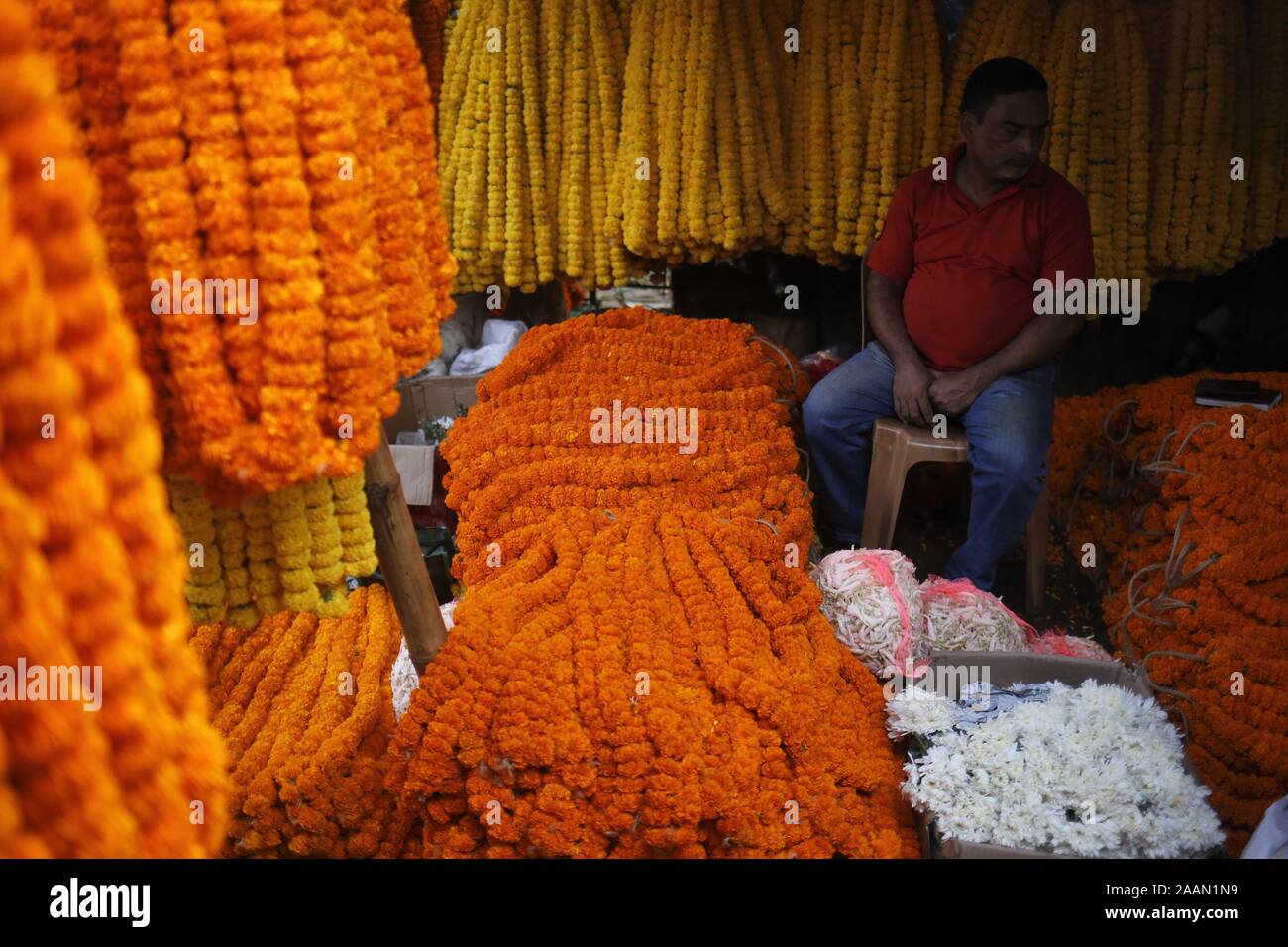 Dhaka, Bangladesch. 23 Nov, 2019. Ein Anbieter wartet auf Kunden in einem Großhandel Blumenmarkt in Dhaka. Heute ist die Nachfrage nach Blumen ist gesunken, da viele Unternehmen künstliche Blume herstellen. Credit: MD Mehedi Hasan/ZUMA Draht/Alamy leben Nachrichten Stockfoto