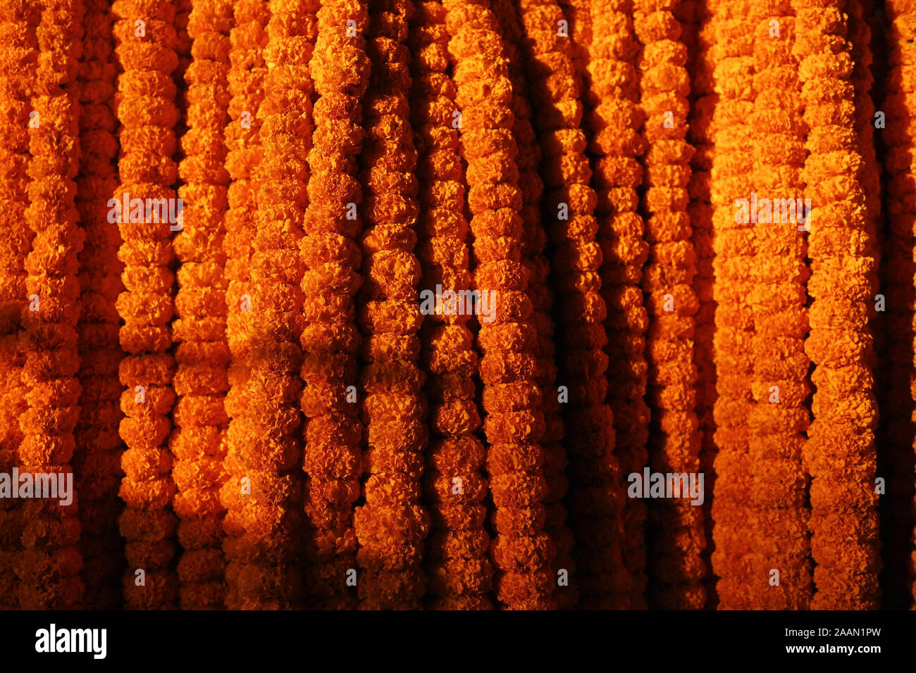 Dhaka, Bangladesch. 23 Nov, 2019. Ringelblume Zeilen anzeigen an einem Großhandel Blumenmarkt in Dhaka zu verkaufen. Heute ist die Nachfrage nach Blumen ist gesunken, da viele Unternehmen künstliche Blume herstellen. Credit: MD Mehedi Hasan/ZUMA Draht/Alamy leben Nachrichten Stockfoto