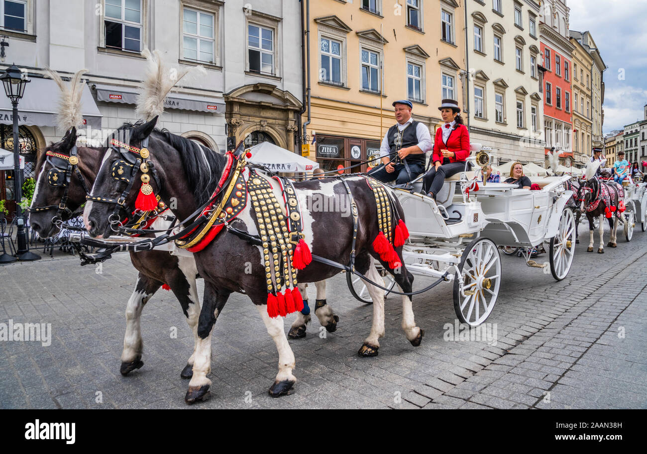 Horse-drawn fiaker Kutschenfahrten in der Altstadt von Krakau, Kleinpolen, Polen Stockfoto