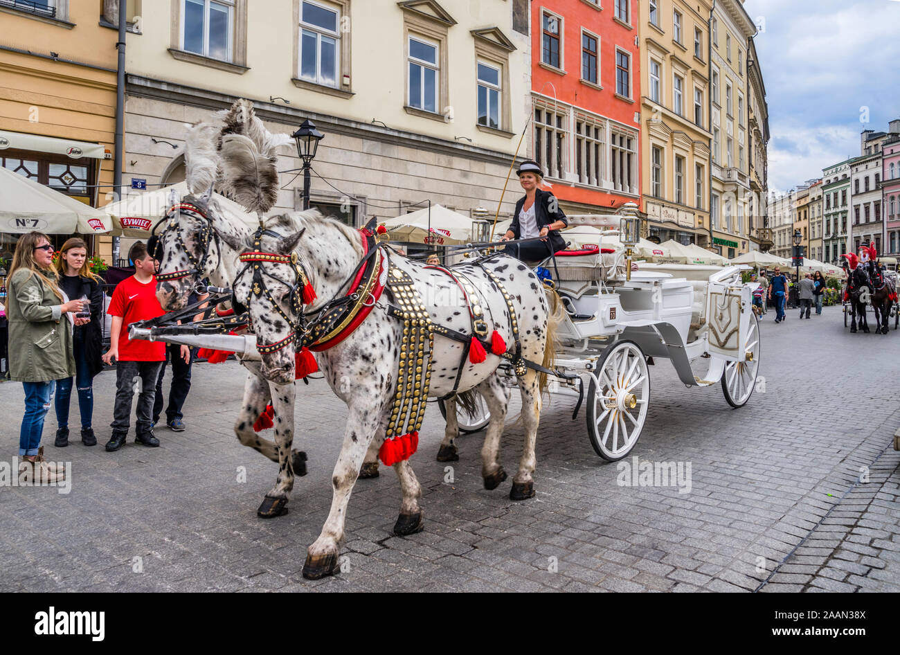 Coachwoman und ihrem Pferd gezogenen fiaker Beförderung warten auf die Flugpreise auf dem Hauptplatz in der Altstadt von Krakau, Kleinpolen, Polen Stockfoto