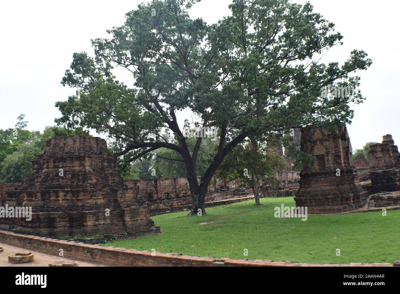 Wat Mahathat in Bangkok Stockfoto