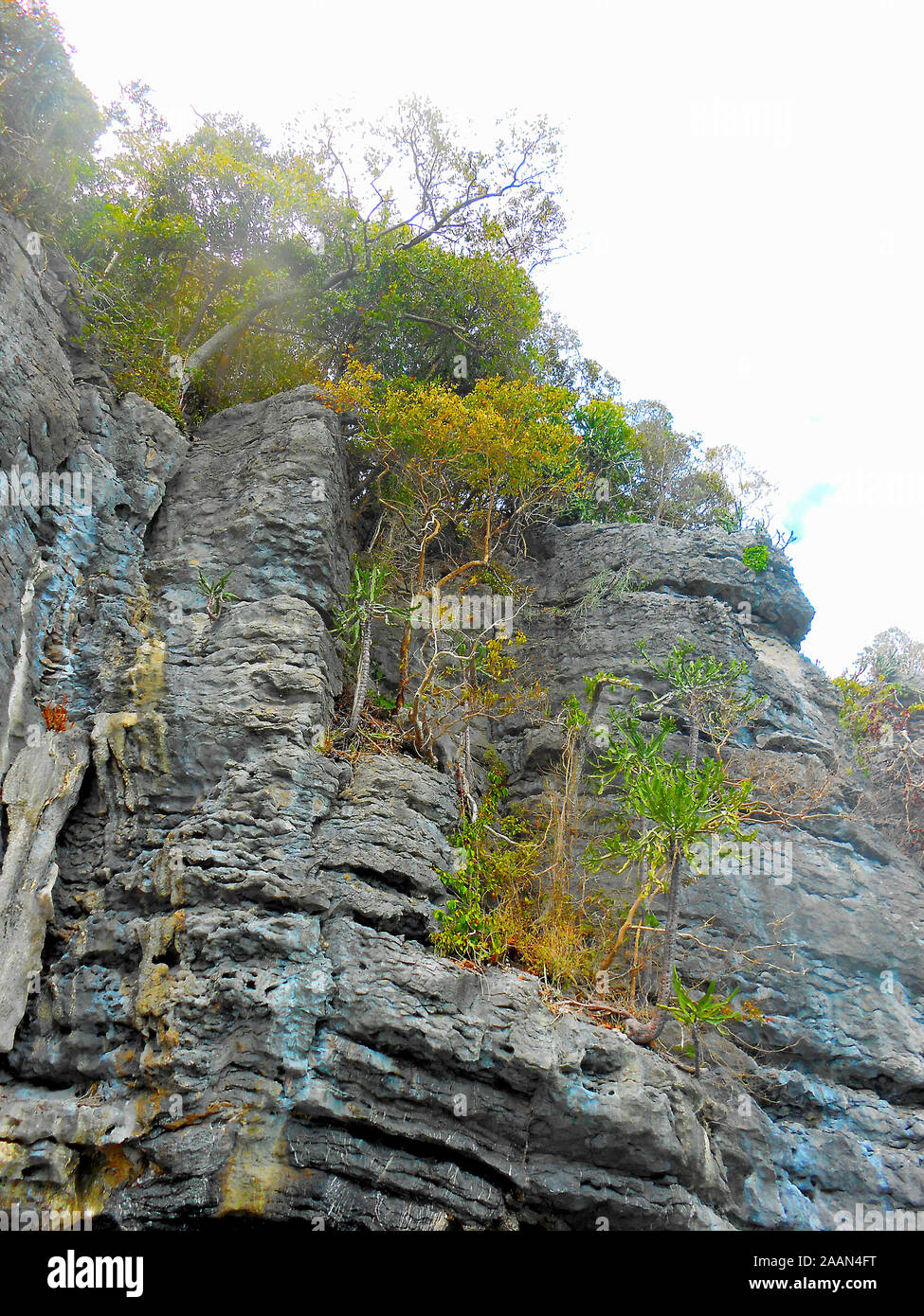 Bilder der verschiedenen Kalkstein Karst und die Inseln der Mu Ang Thong National Marine Park Koh Samui Thailand Asien Stockfoto