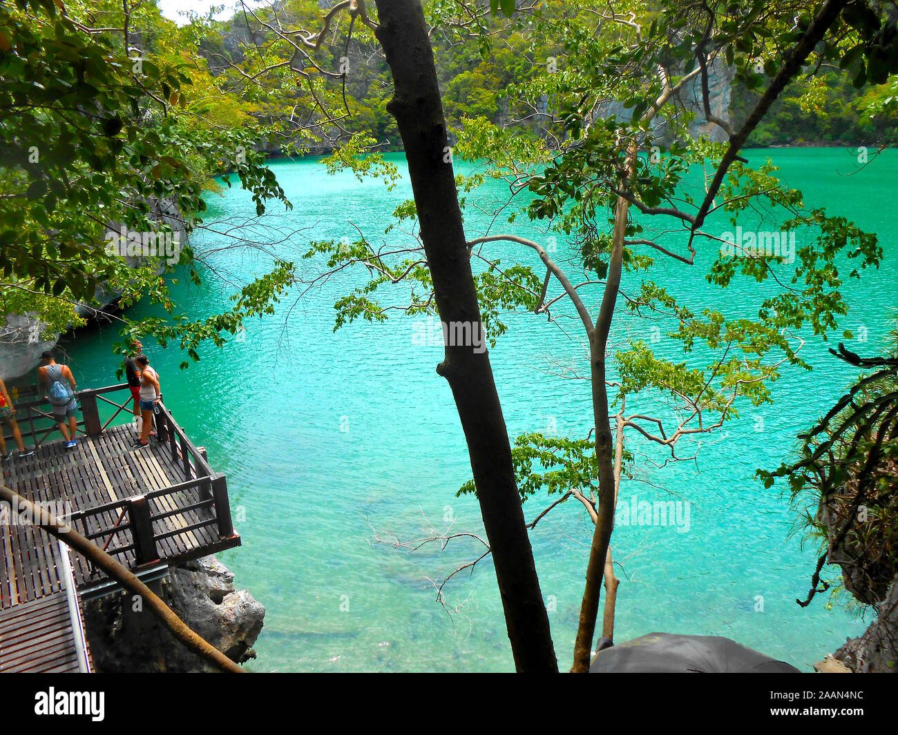Die Emerald Lake Mu Koh Ang Thong National Marine Park Stockfoto