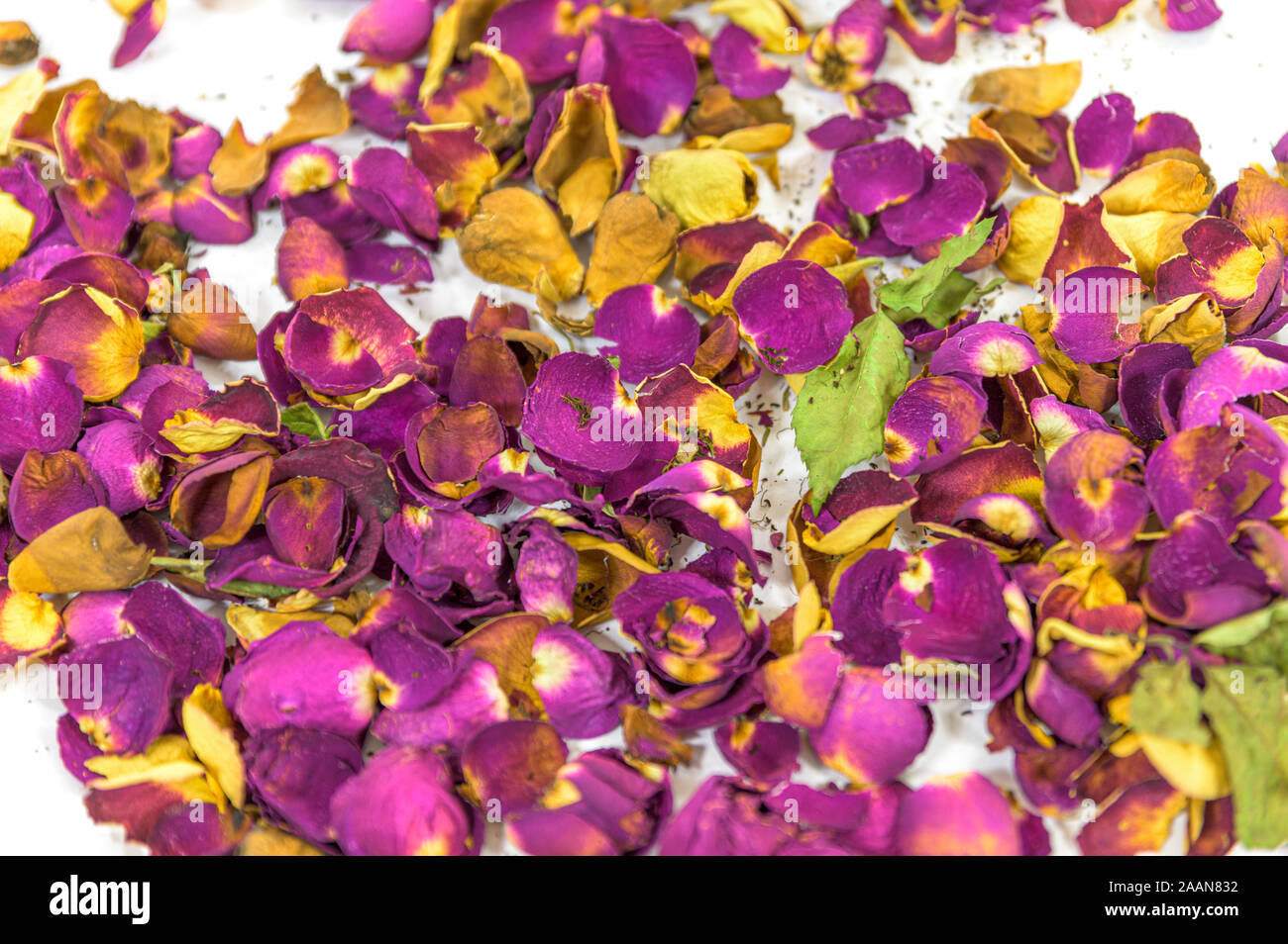 Ein Haufen verwelkten und trocken, rot, rosa und gelb Rosenblüten Stockfoto