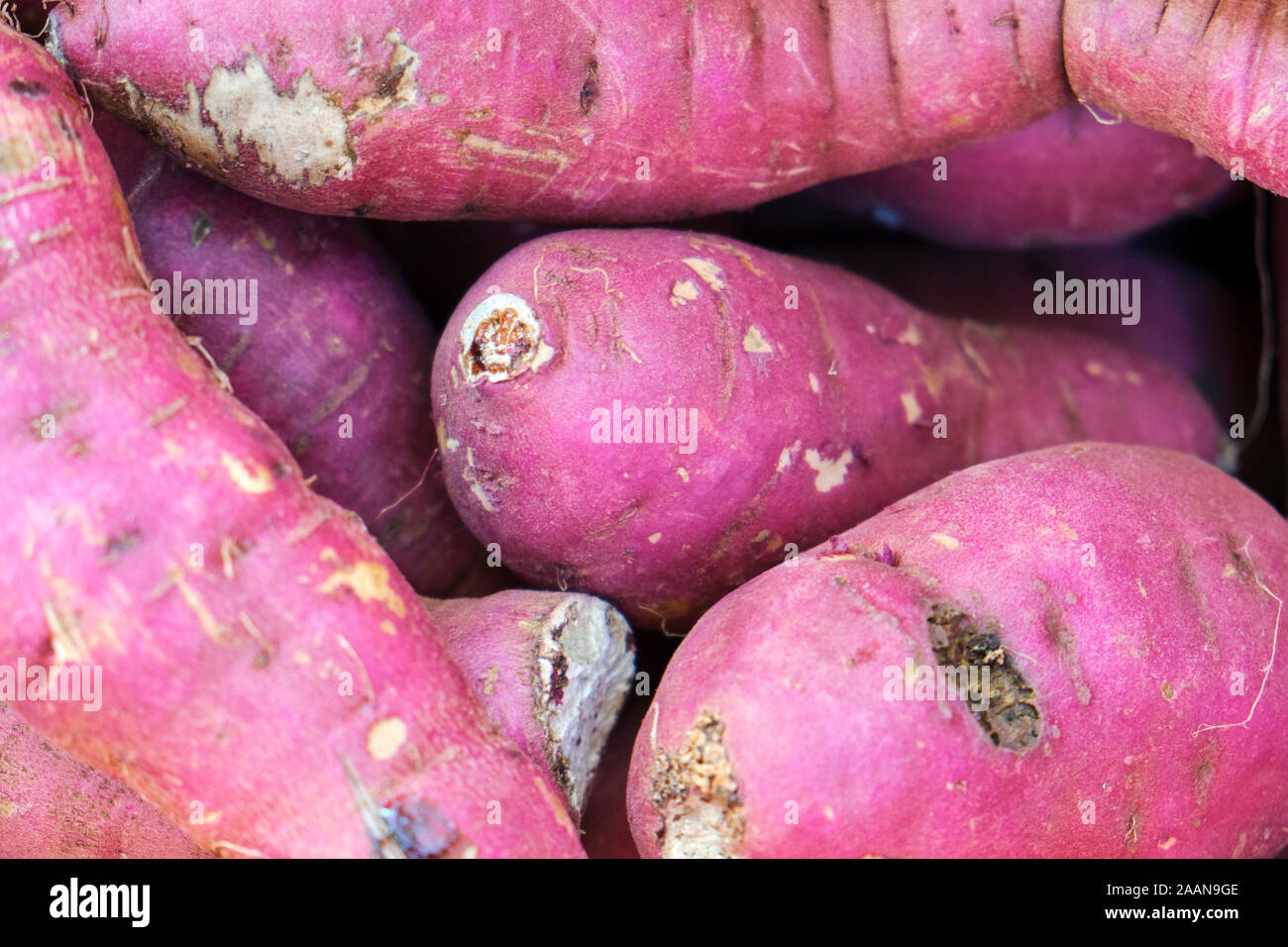 Detail der frische organische Süßkartoffeln Stockfoto