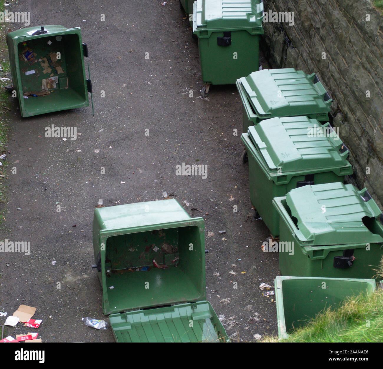 Aberystwyth Ceredigion/UK 13. November 2019: Umgeworfen Wheelie bins Verschütten ihre Inhalte auf der Lexington Street Stockfoto