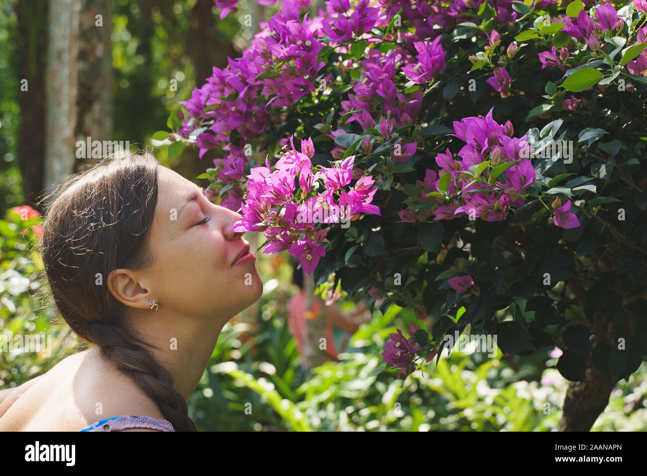 Kaukasische Frau sniffing lila Blumen auf einem Busch in einem Sommer Park Stockfoto