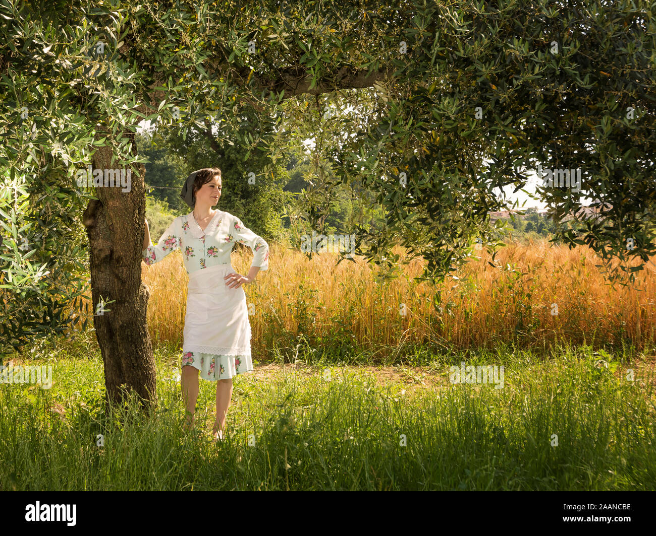 Frau in 40 die Kleider unter einem Olivenbaum in der Landschaft der Abruzzen mit einem Feld von Weizen im Hintergrund Stockfoto