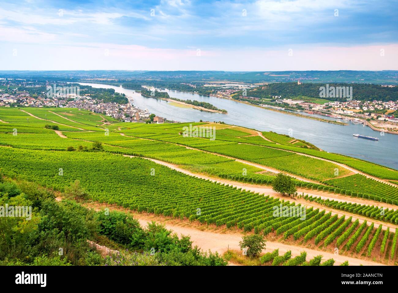 Luftaufnahme der Rheintal mit großen massives der Weinberge entlang. Stockfoto