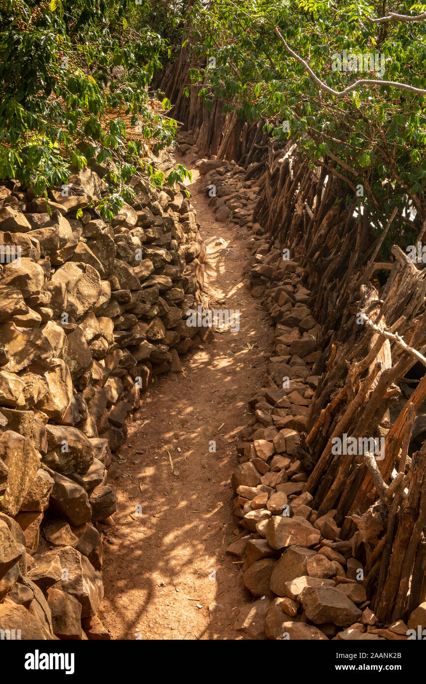 Äthiopien, Carat-Konso, Gamole Stadtmauer umgebenen Dorf, Pfad Wicklung zwischen Haus Verbindungen Stockfoto