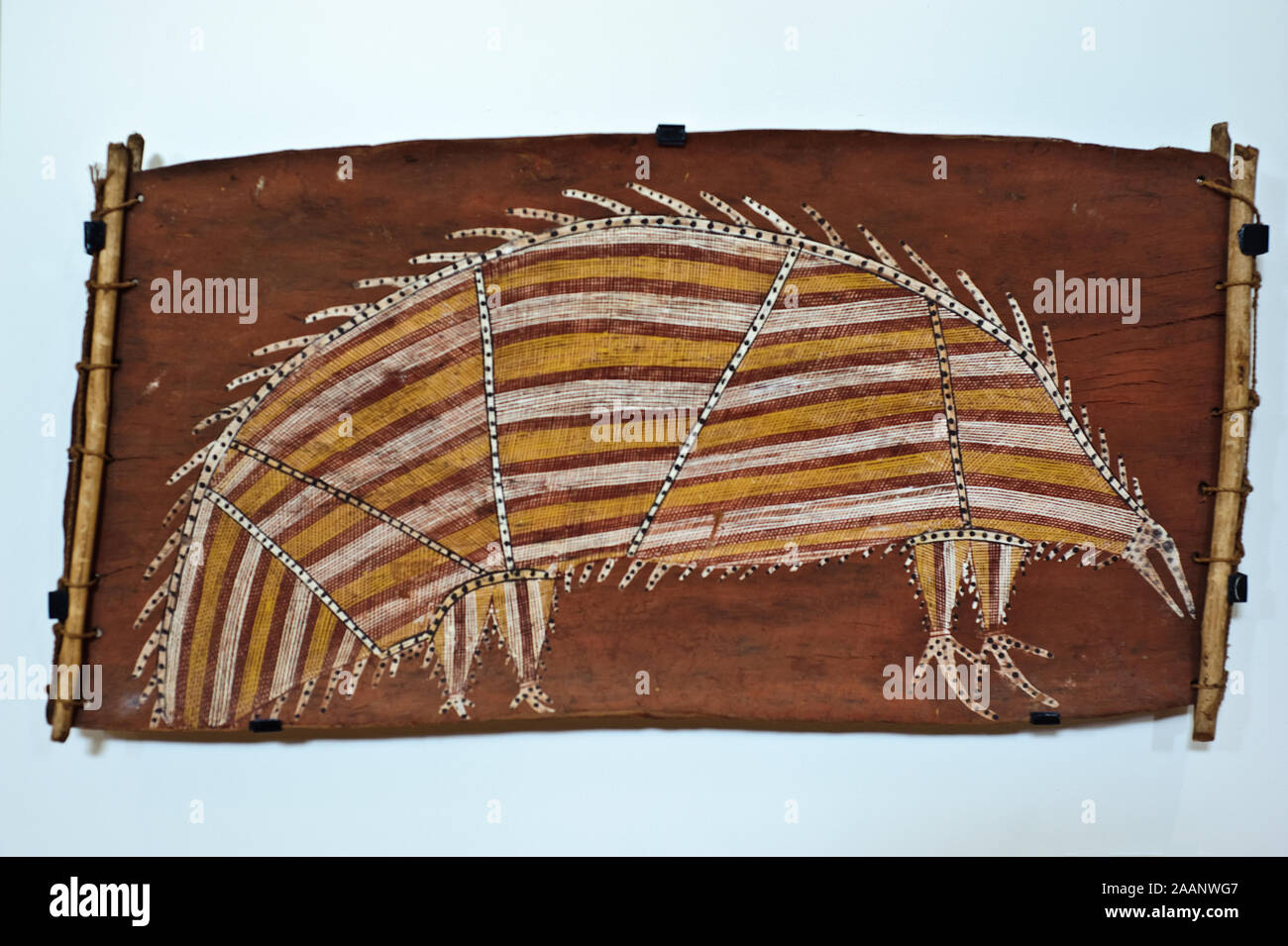 Kunst der Ureinwohner von Mick Kubarkku (XX° Jahrhundert Künstler, Australien). Die rindenmalerei heißt 'Nurrbeck' (echidna) (Frankreich) Stockfoto