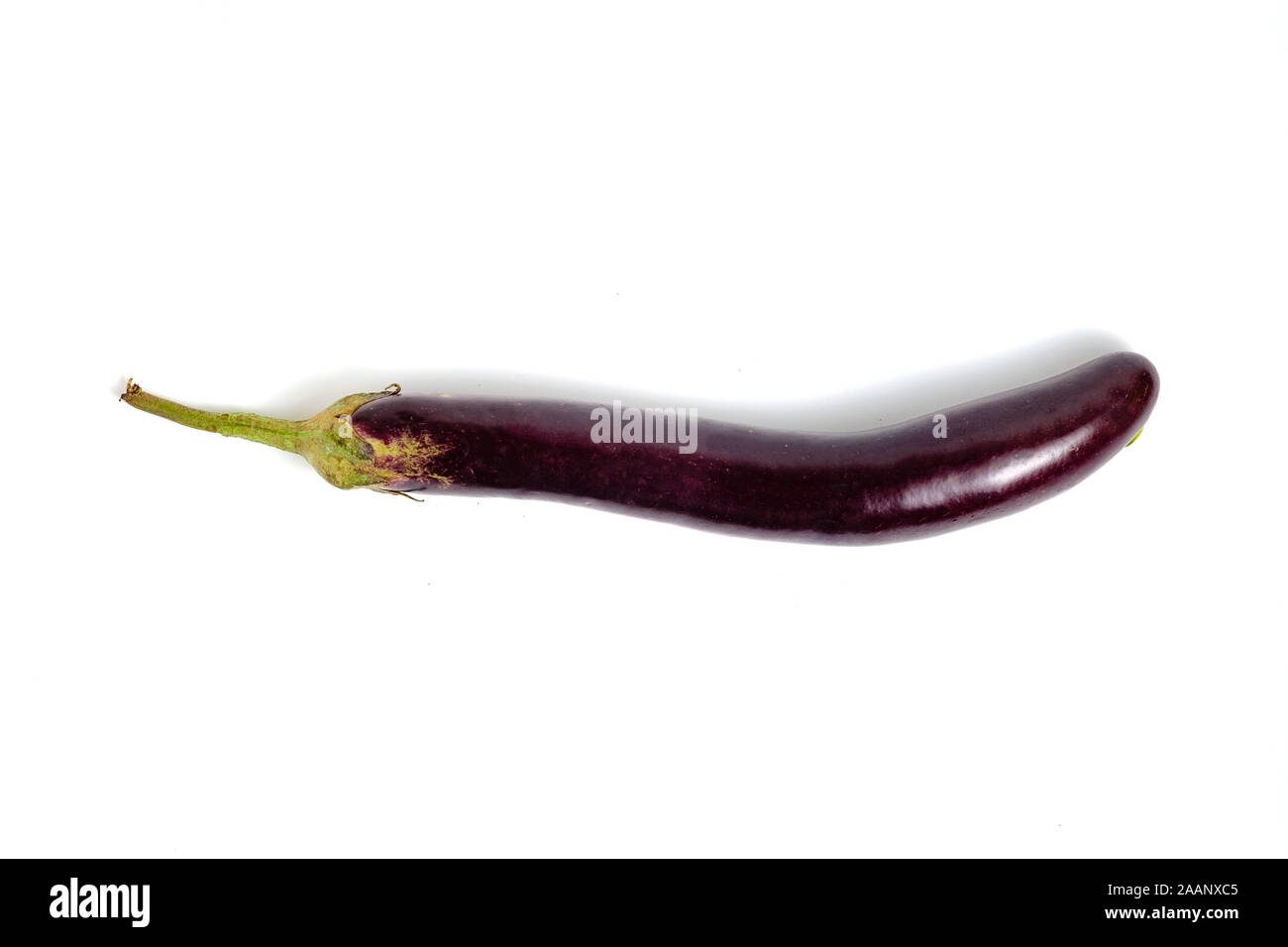 Aubergine oder Aubergine, Pflanzen in der Familie der Nachtschattengewächse. Stockfoto