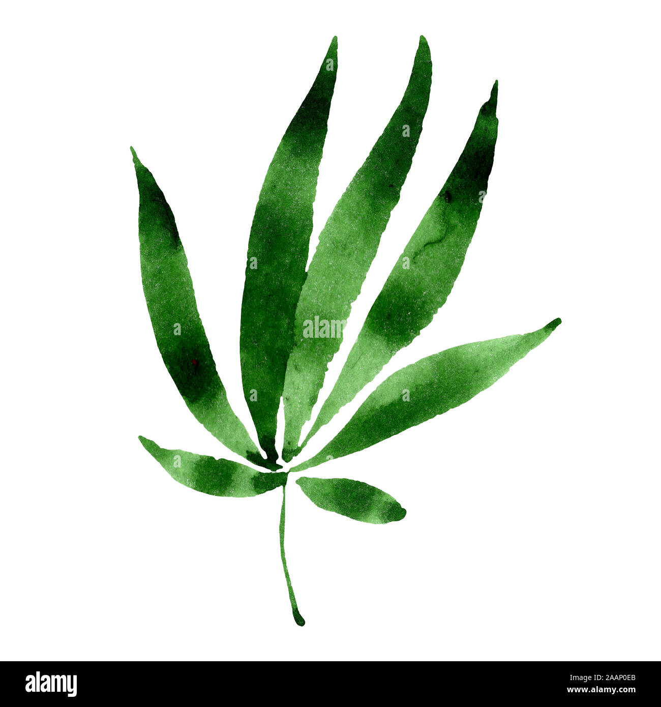 Cannabis grüne Blätter. Aquarell Hintergrund Abbildung. Isolierte cannabis Abbildung Element. Stockfoto