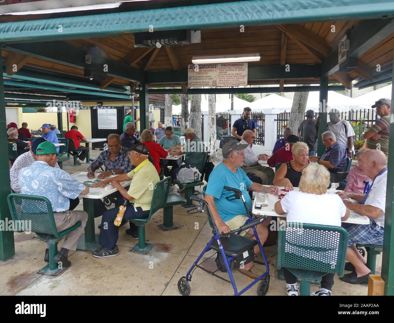 MAXIMO GOMEZ PARK, Miami, Florida. Domino Spieler. Foto: Tony Gale Stockfoto