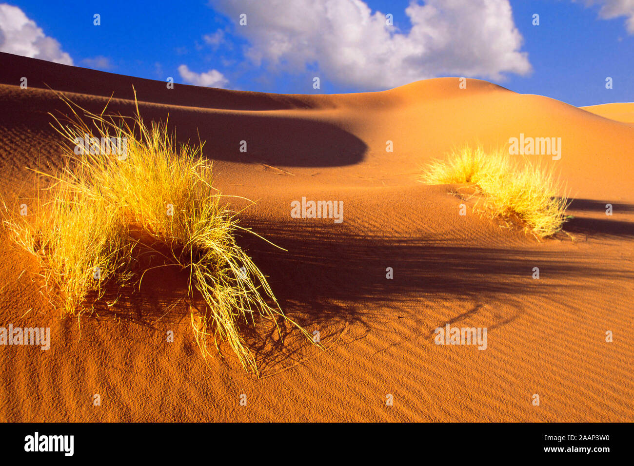 Landschaft im Sossusvlei - Namibia Stockfoto