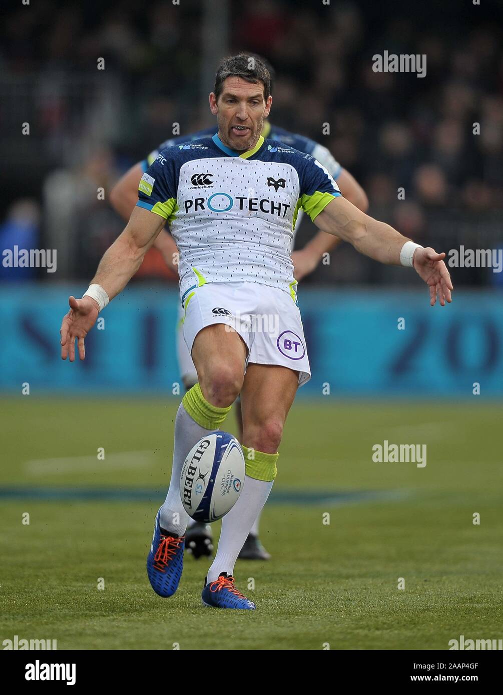 Hendon. Vereinigtes Königreich. 23. November 2019. James Hook (fischadler). Sarazenen v Fischadler. Pool 4. Heineken Champions Cup. Zweiten (2.) Runde. Allianz Park. Hendon. London. UK. Kredit Garry Bowden / Sport in Bildern/Alamy Leben Nachrichten. Stockfoto