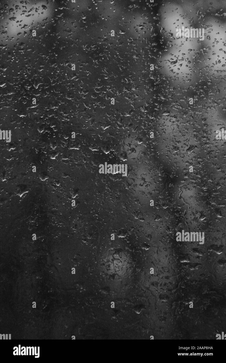 Regen fällt auf das Fenster mit Wald Hintergrund Stockfoto