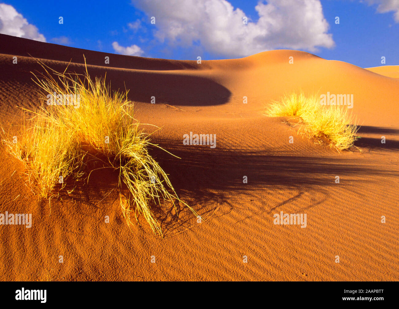 Landschaft im Sossusvlei - Namibia Stockfoto