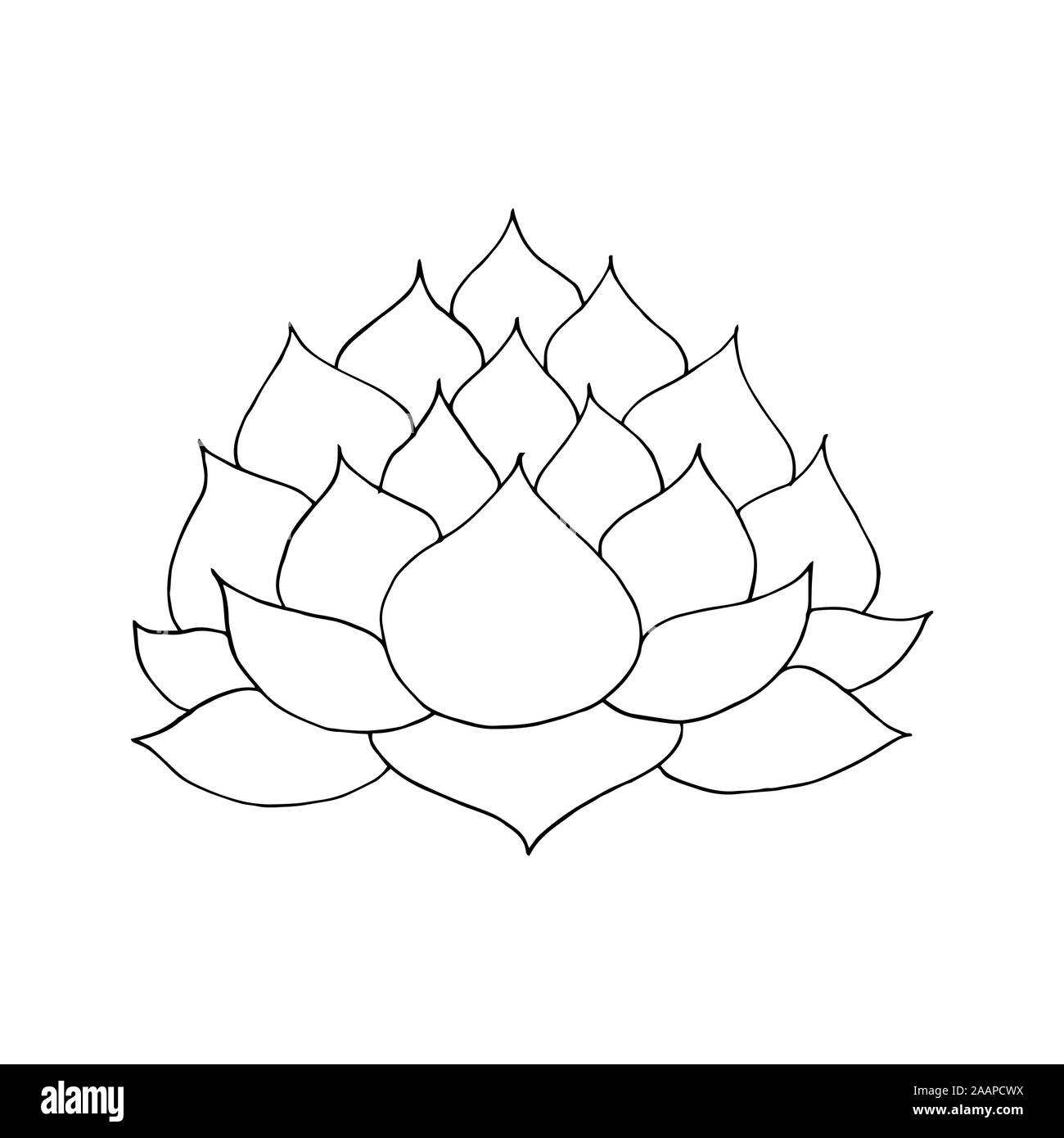 Vector Illustration von Hand gezeichnet Lotus flower Umrisse Stock Vektor