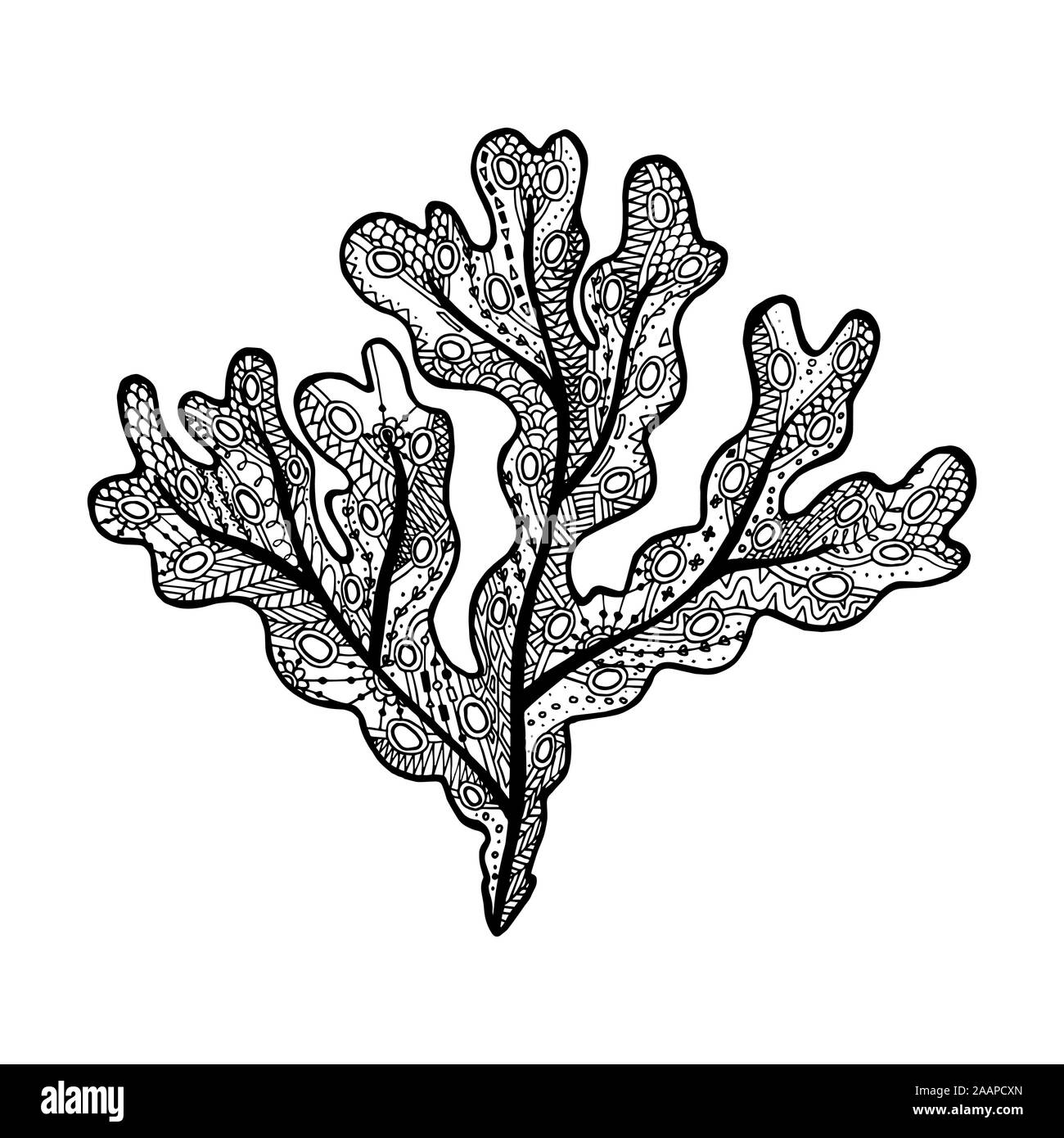 Vector Illustration von Hand gezeichnet Fucus Algen. Färbung Seite Buch - zendala Für Entspannung und Meditation Stock Vektor