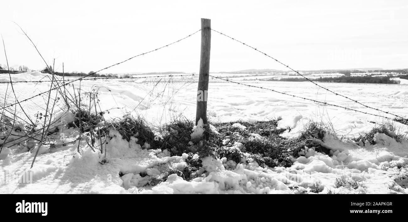 Schneefelder, Vallis Vale, Frome, Mendip Hills, Somerset, Großbritannien Stockfoto