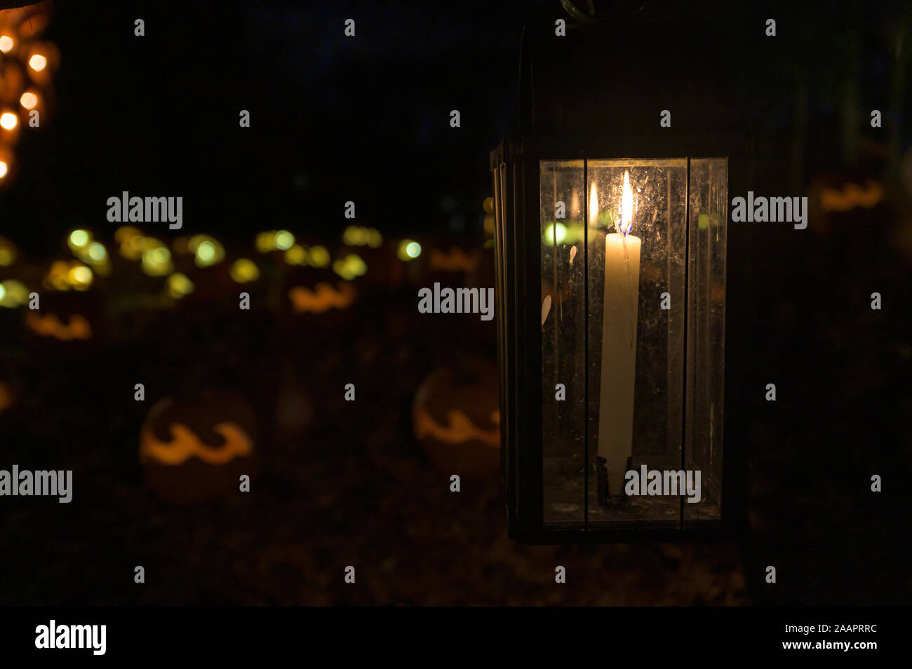 Altmodische, Kerzenlicht und Laternen beleuchtet, mit geschnitzten und beleuchtete Halloween Kürbisse im Hintergrund Stockfoto