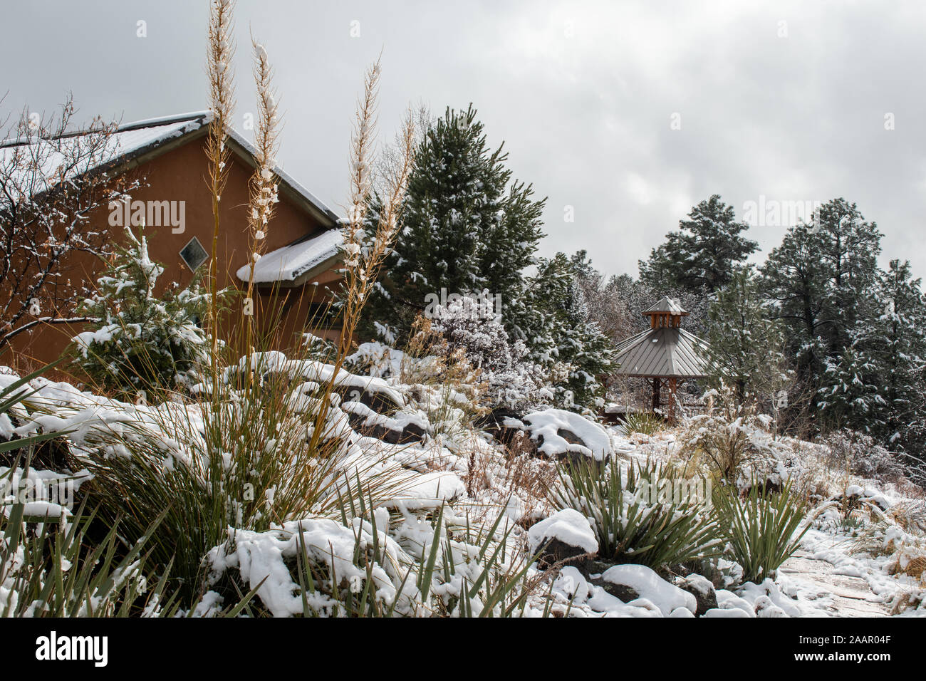 Winter-Szene Stockfoto