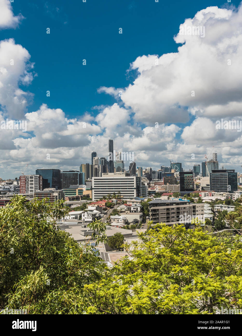 Blick auf den Central Business District von Brisbane, Queensland Stockfoto