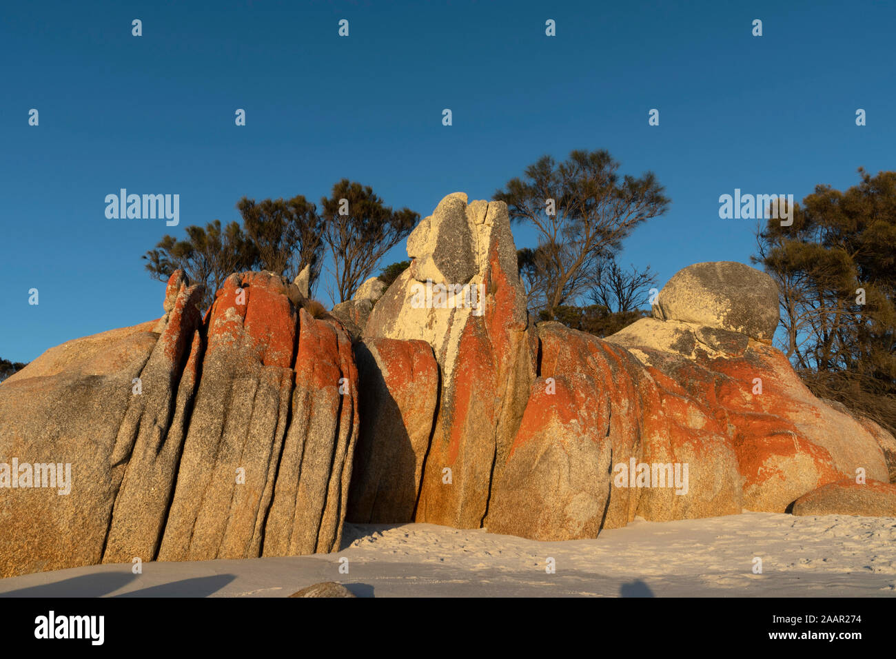 Felsen am Binalong Bay, die Bucht von Bränden, Tasmanien Stockfoto