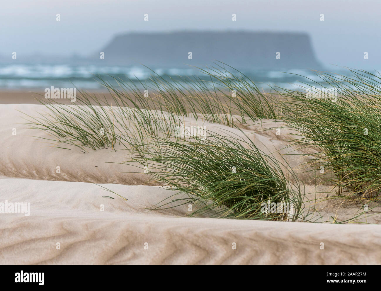Die Mutter, Stanley aus Peggs Naturschutzgebiet Strand Stockfoto