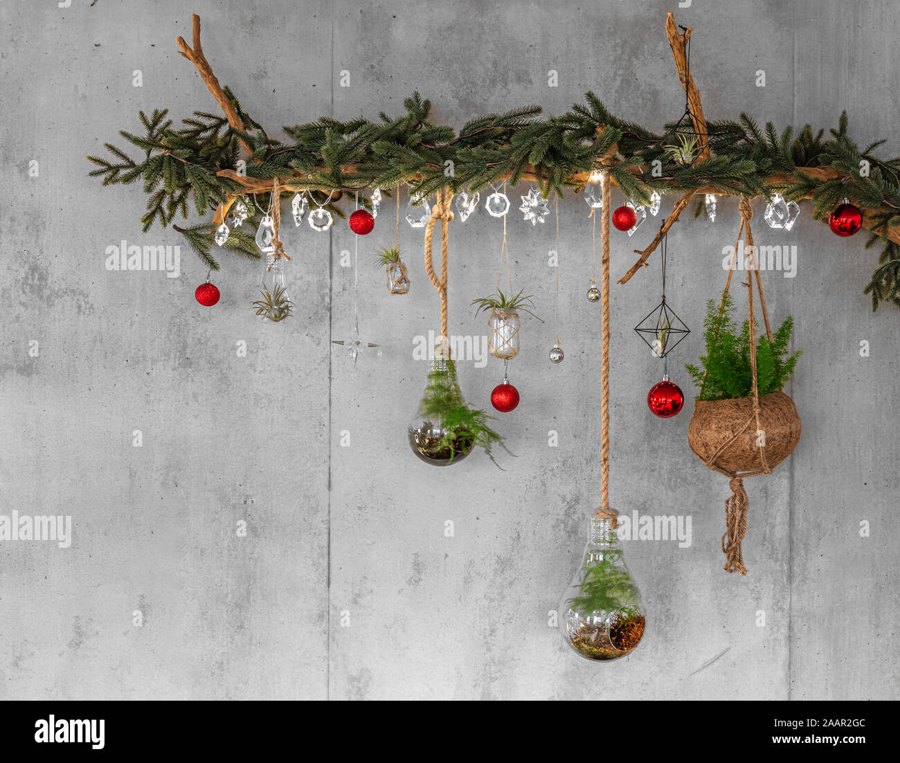 Dekorative Holz- Zweig mit Tannenzweigen und hängende rote Christbaumkugeln, Silber leuchten wie Schneeflocken, Farn und eine Pflanze, auf einem modernen Zement oder Stockfoto