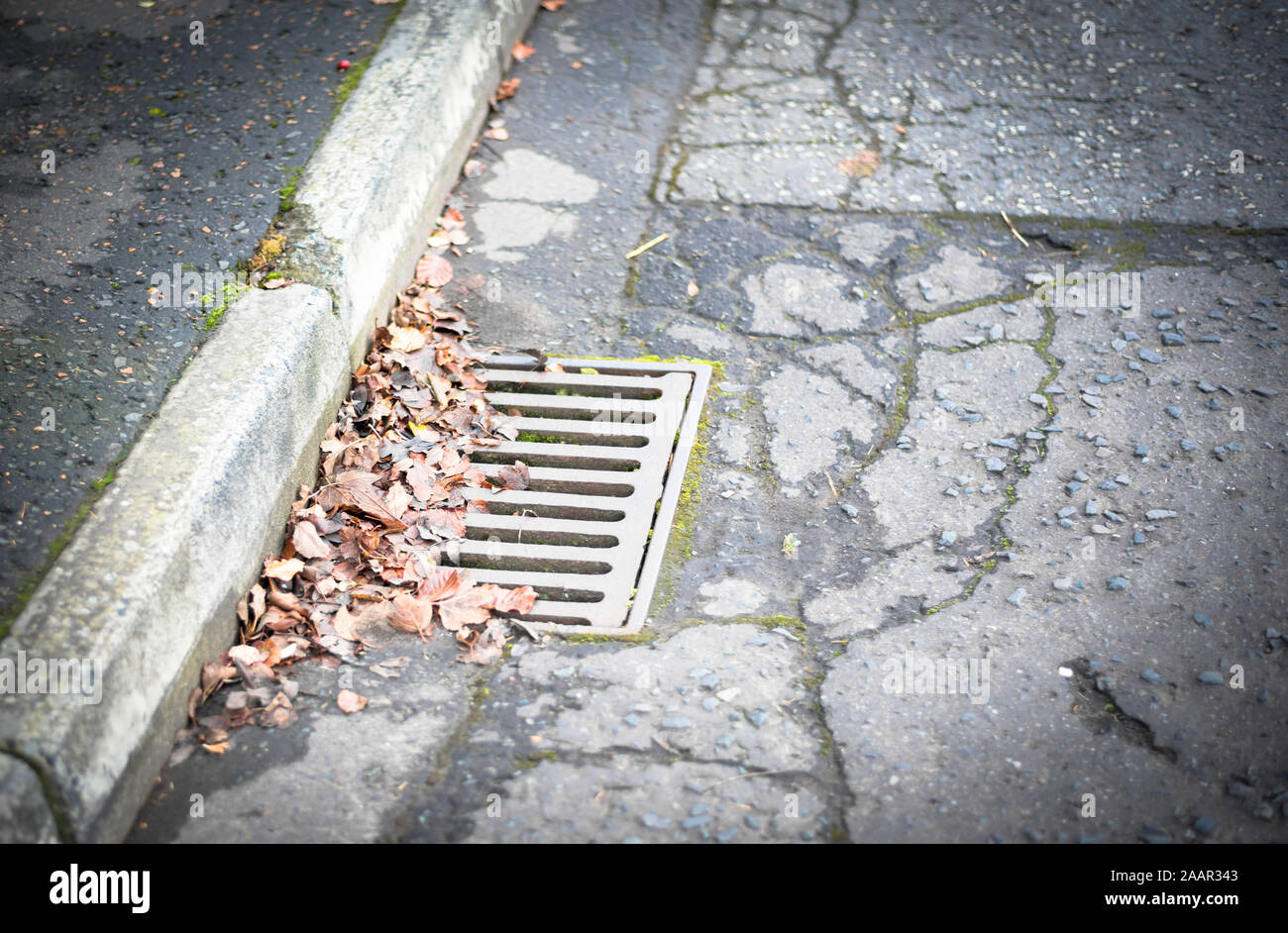 Knackig Braun Blätter im Herbst verstreut auf einem Lattenrost Straße Dachrinne Neben dem Bordstein Stockfoto